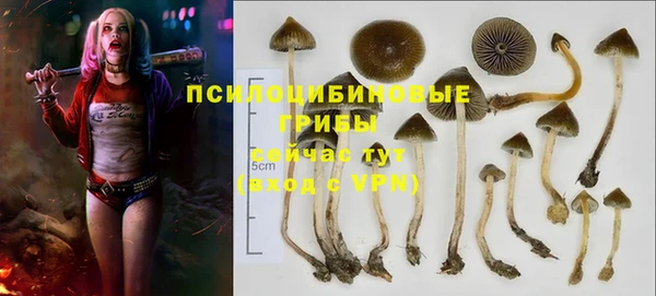 ГАЛЛЮЦИНОГЕННЫЕ ГРИБЫ Алексеевка