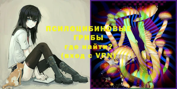 2c-b Алексин