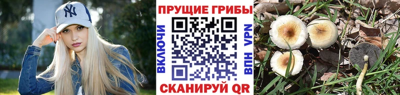 Псилоцибиновые грибы MAGIC MUSHROOMS  даркнет сайт  omg маркетплейс  Урай 